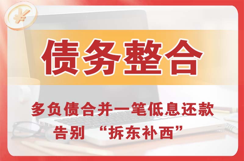 岳阳县债务整合