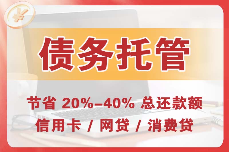 岳阳县债务托管